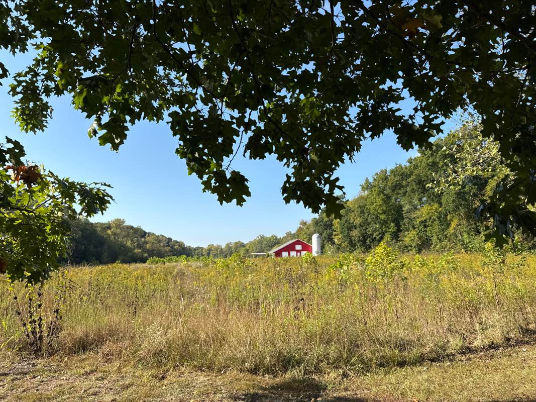 walking near me in Goat Farm Park in autumn