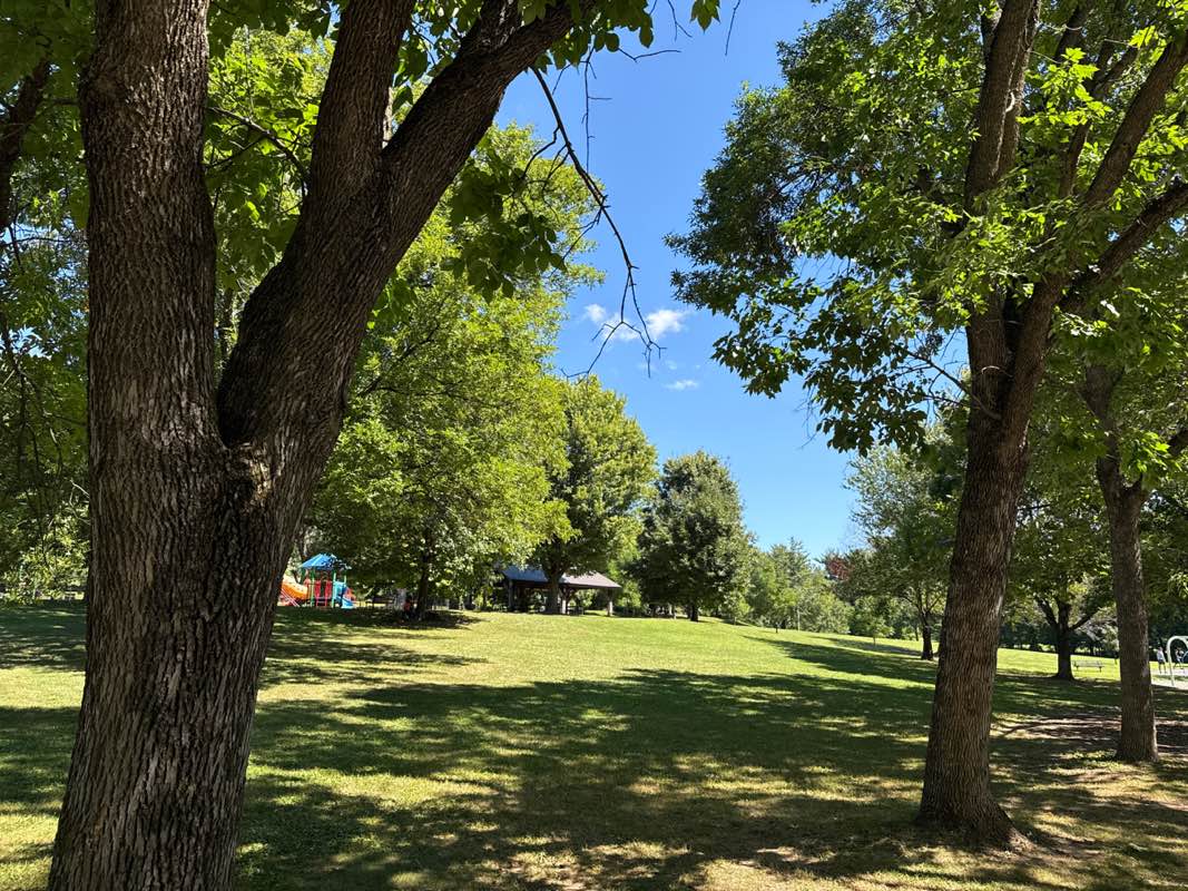 walking near me in Bryan Park in autumn