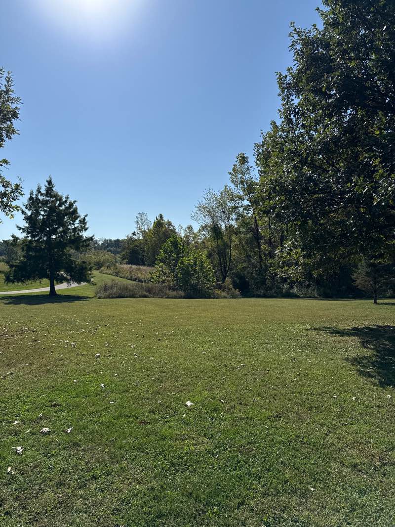 walking near me in Olcott Park in autumn