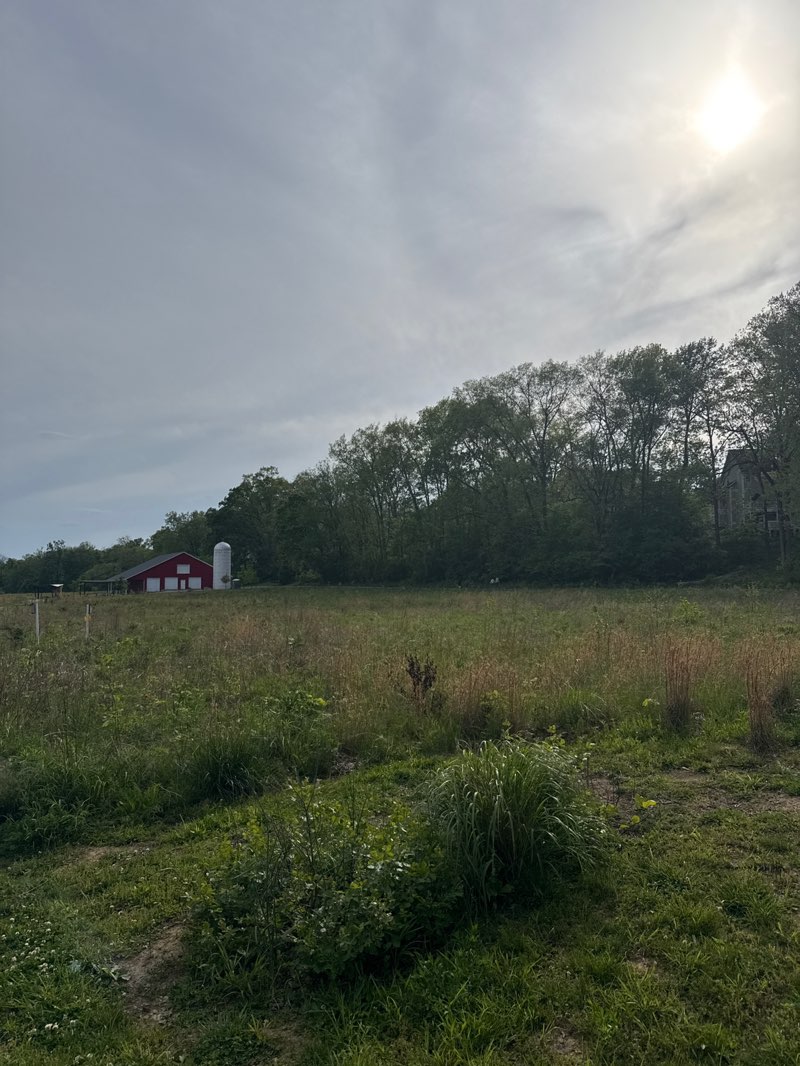 walking near me in Goat Farm Park in spring
