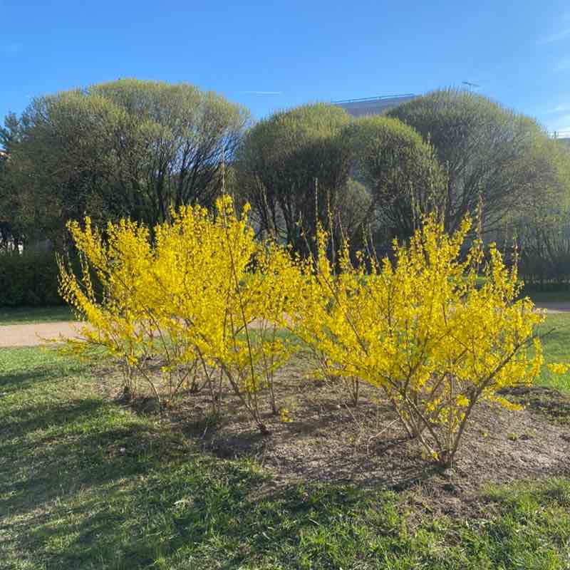 Стая Ekaterina post image