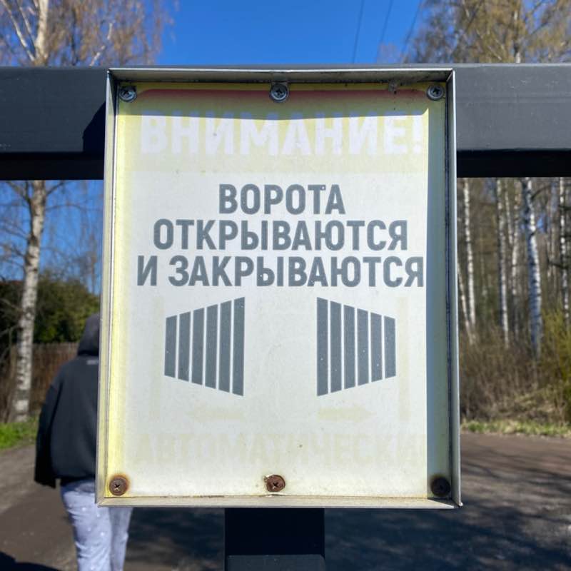 Стая Стая post image