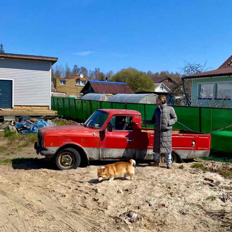 Стая Стая post image