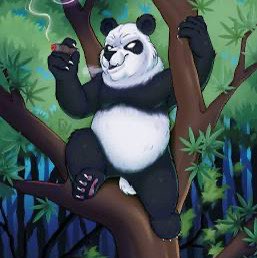 Joshua aka Jbh Josh aka Jbh (panda man)🐼🤓🍺🎨🎧☮️ post image