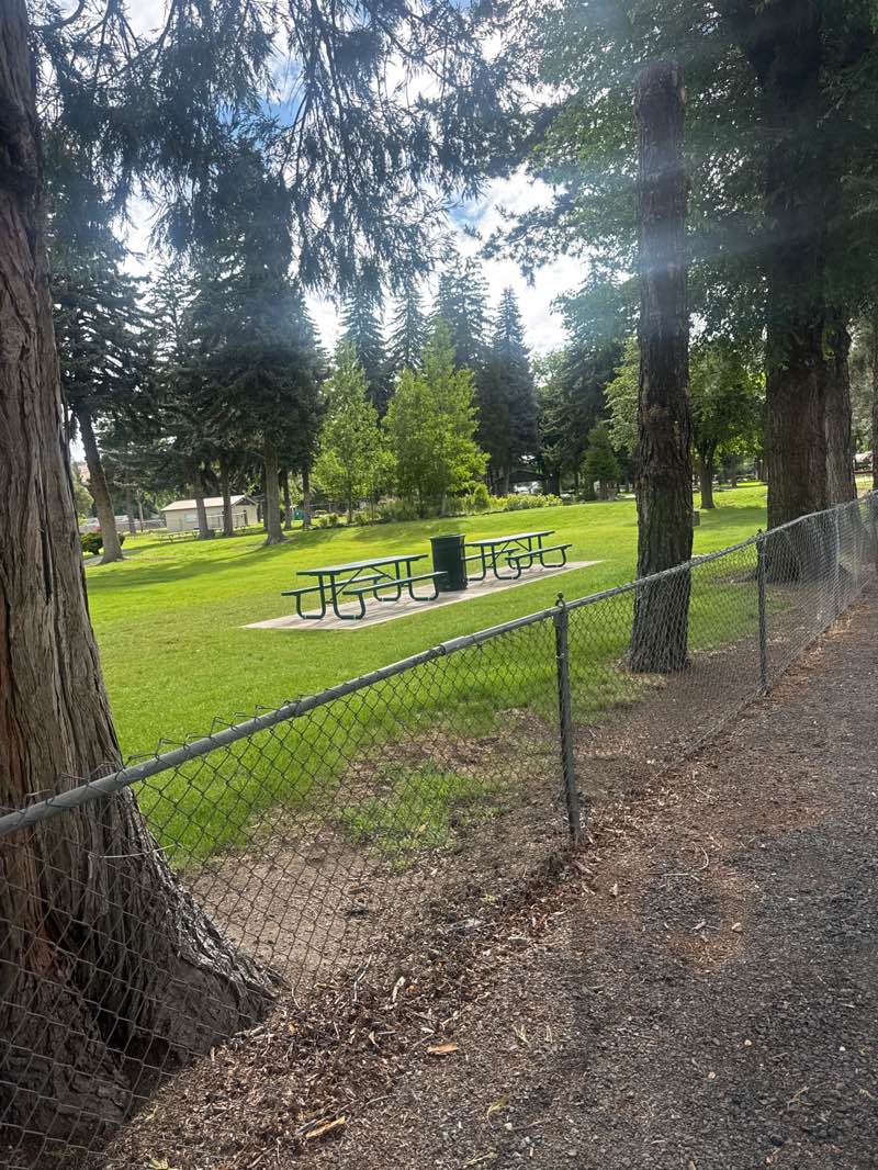 walking near me in Wiard Park in summer
