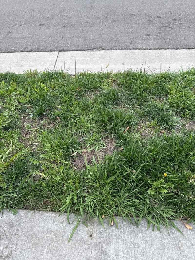 walking near me in Mountain View Park in spring