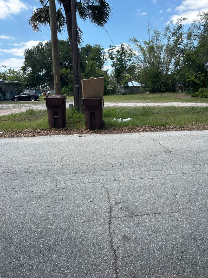 walking near me in Stuart Park in spring