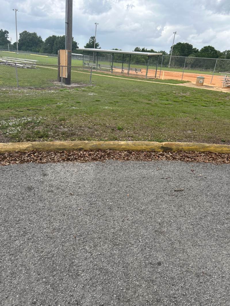 walking near me in Lake Wales Ridge Wildlife and Environmental Area in spring