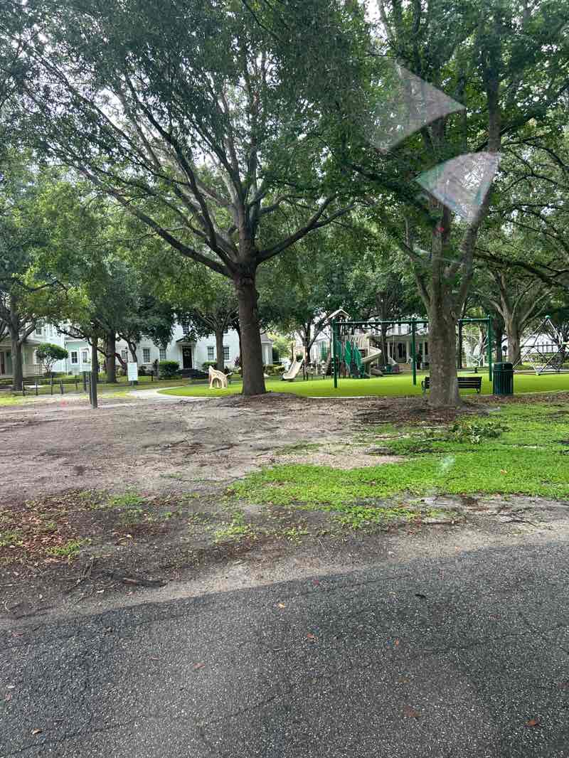 walking near me in Longmeadow Park in summer
