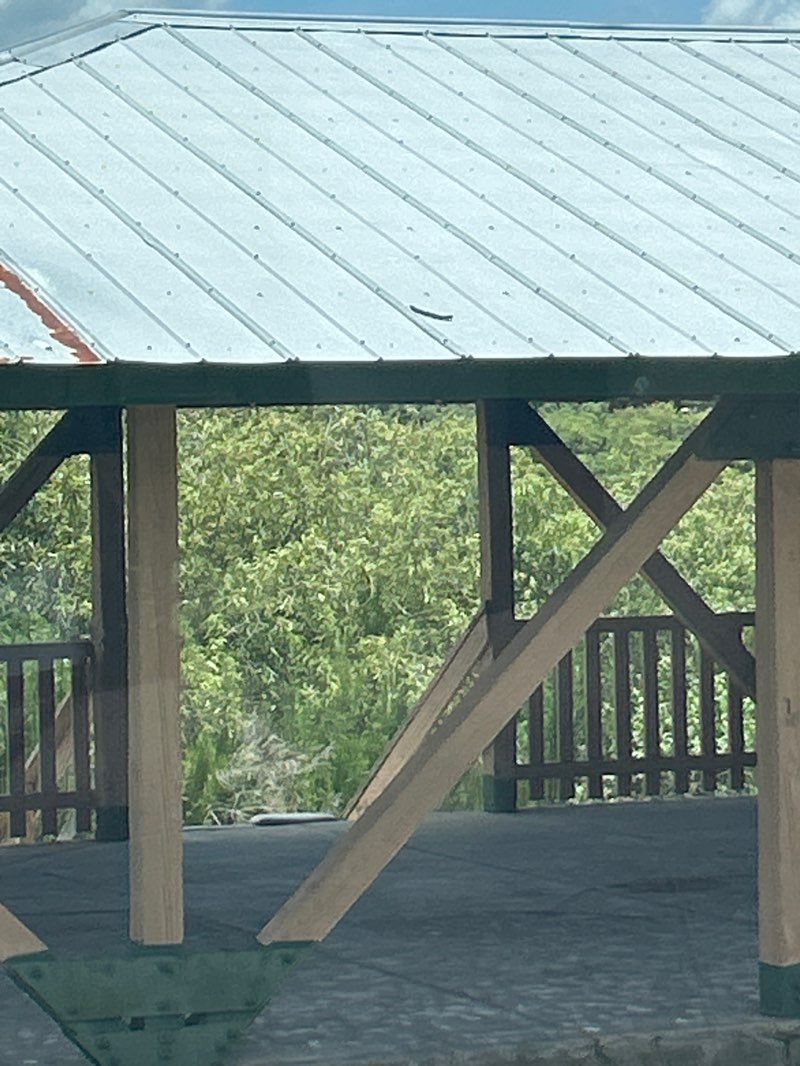 walking near me in Walker Family Park in summer