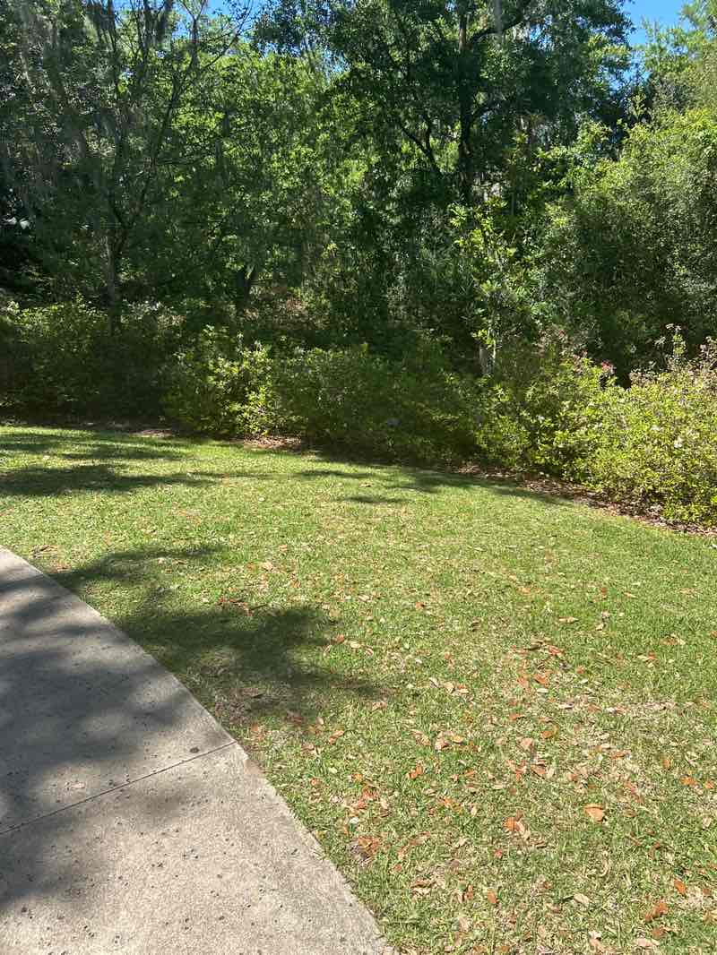 walking near me in Bok Tower Gardens in spring