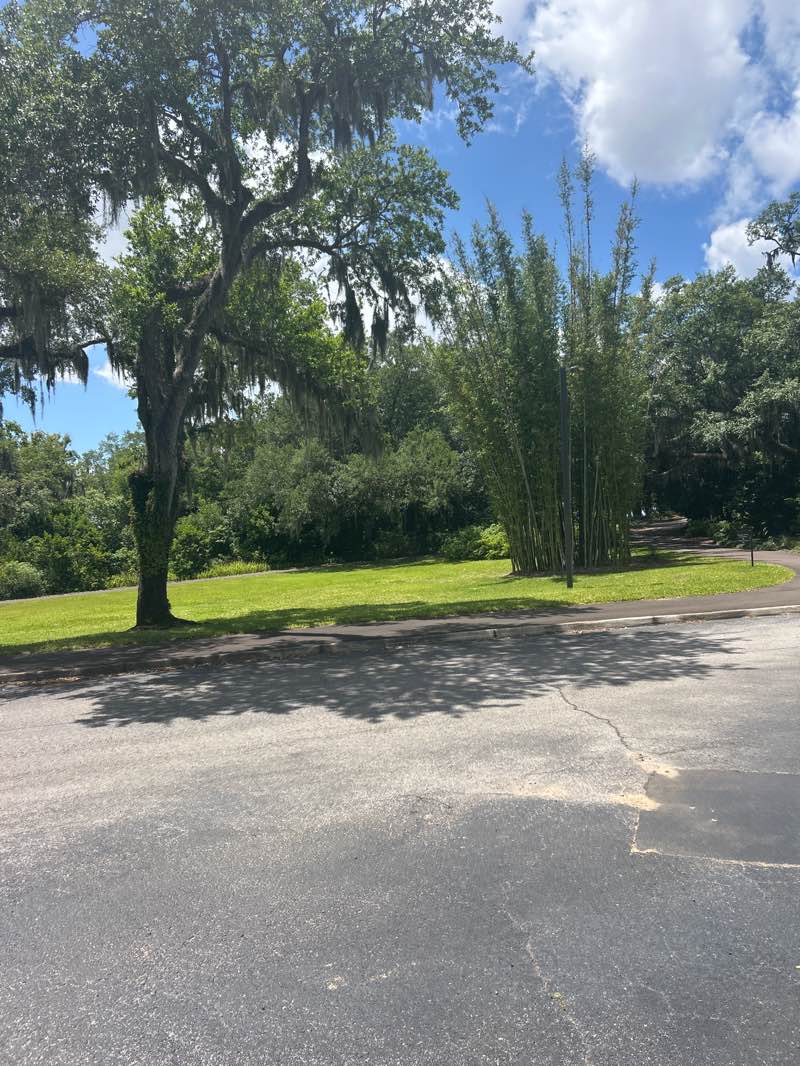 walking near me in Bok Tower Gardens in spring