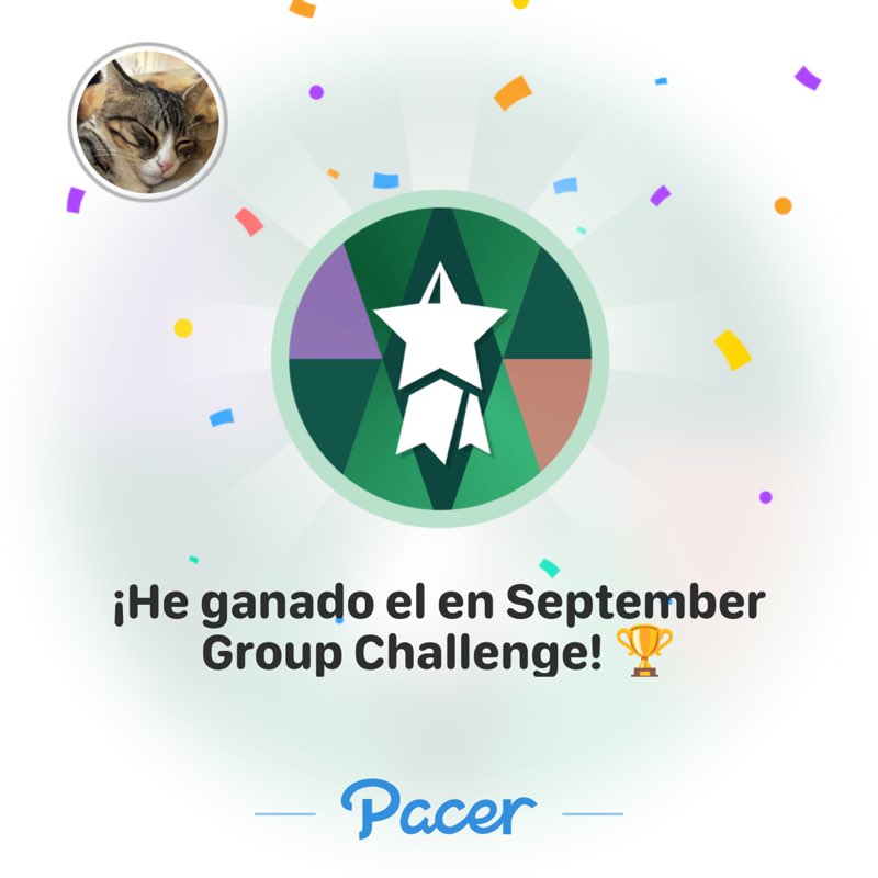 🐱Rafael🐱 post 1