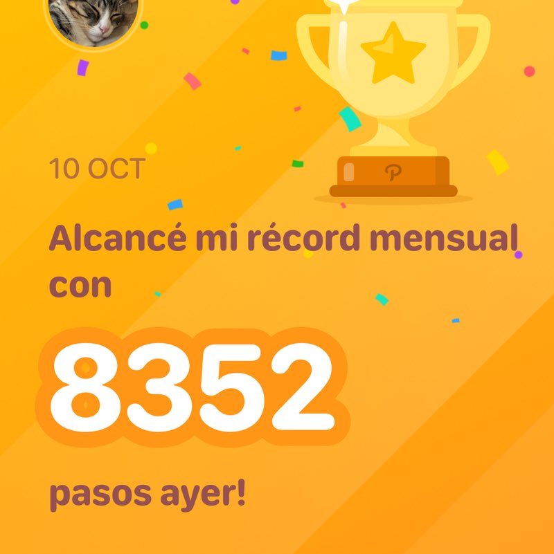 🐱Rafael🐱 post 1