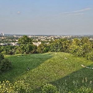 Marek Szotek profile