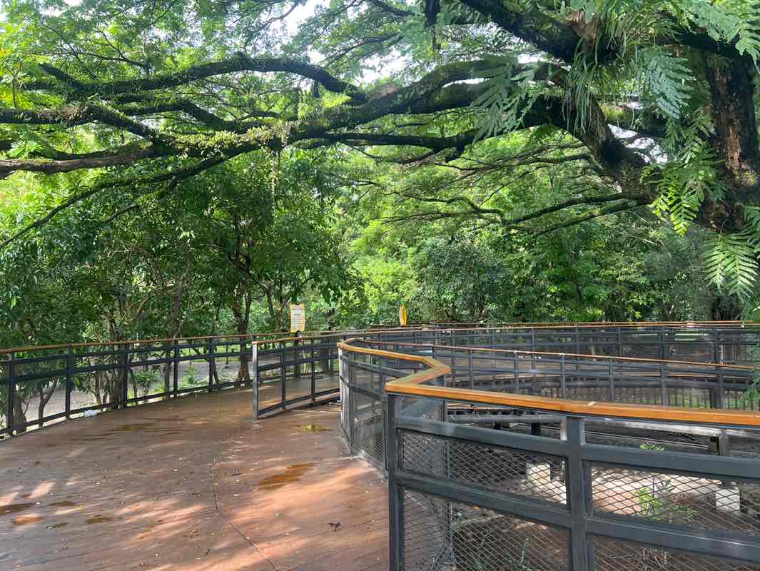 walking near me in Taman Balekambang in spring