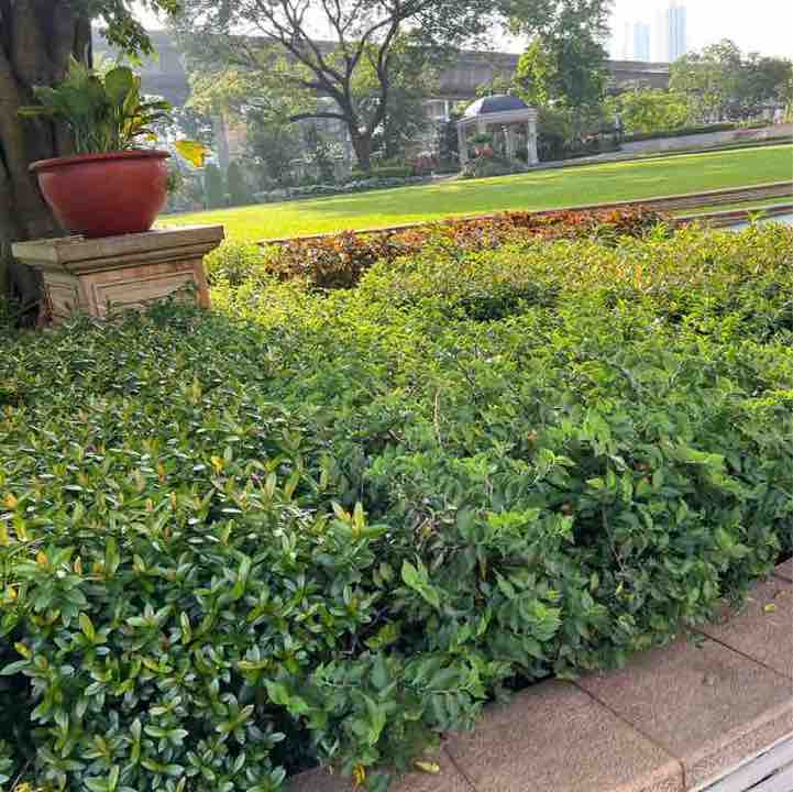 ArPam 🇮🇩 post 1