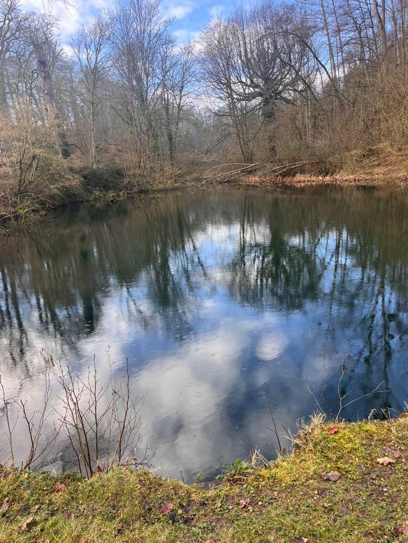 walking near me in Croft Castle Estate in winter