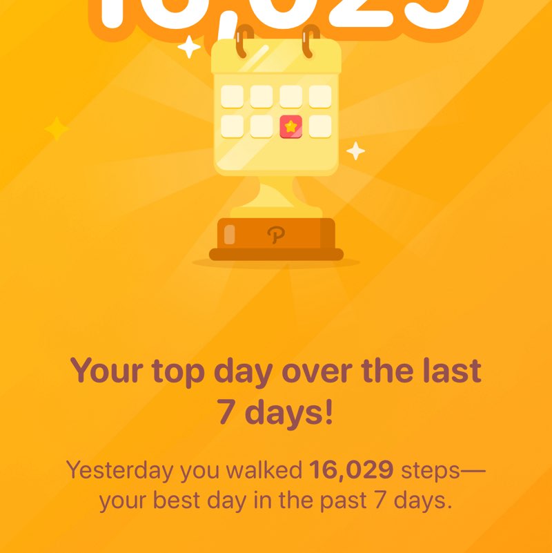 NAVED Leonie post image