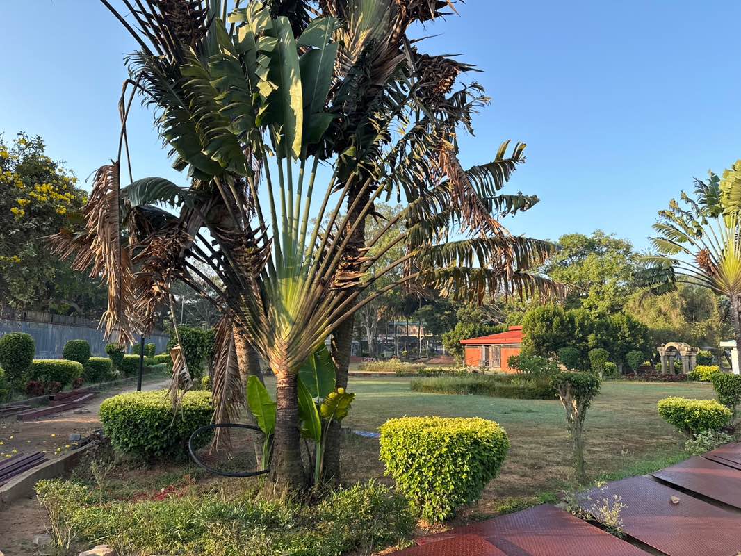 walking near me in Narayanagiri Gardens in spring