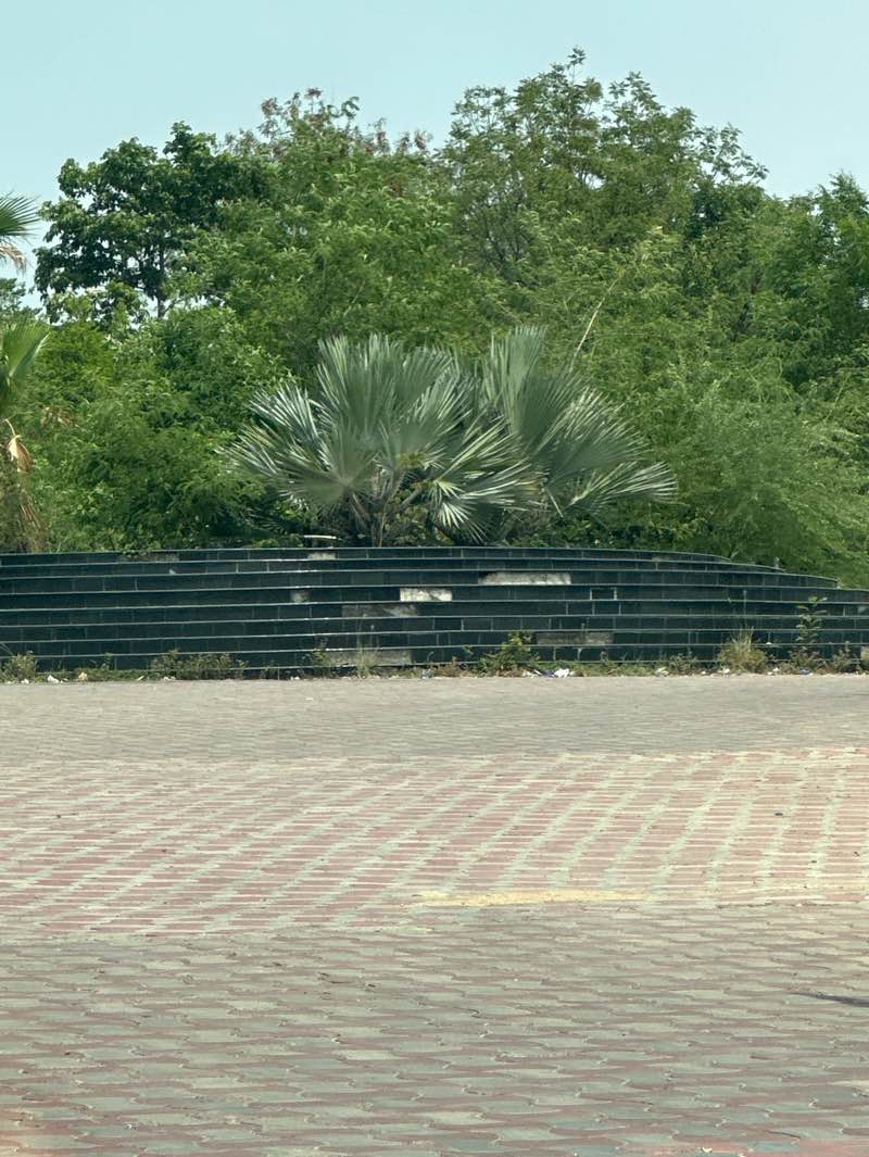 walking near me in Biodiversity Park in summer