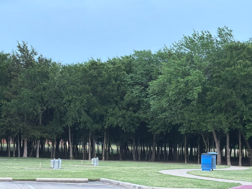 walking near me in Celebration Park in spring