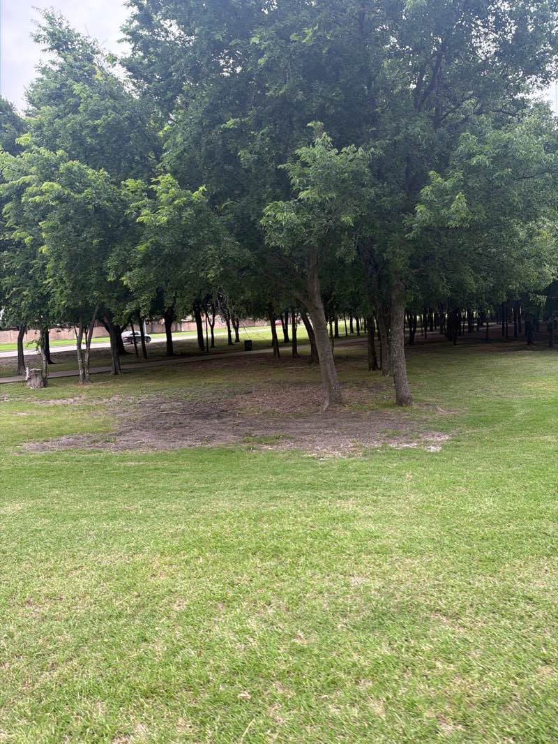 walking near me in Celebration Park in summer
