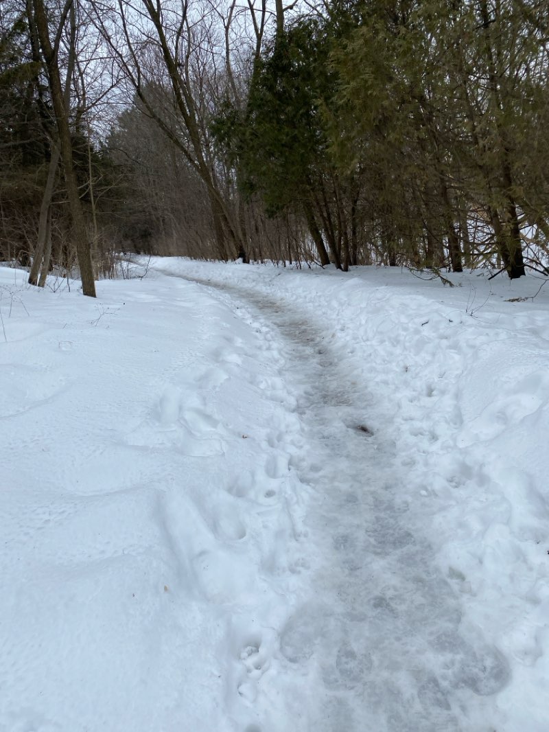 walking near me in Lennox Park in winter