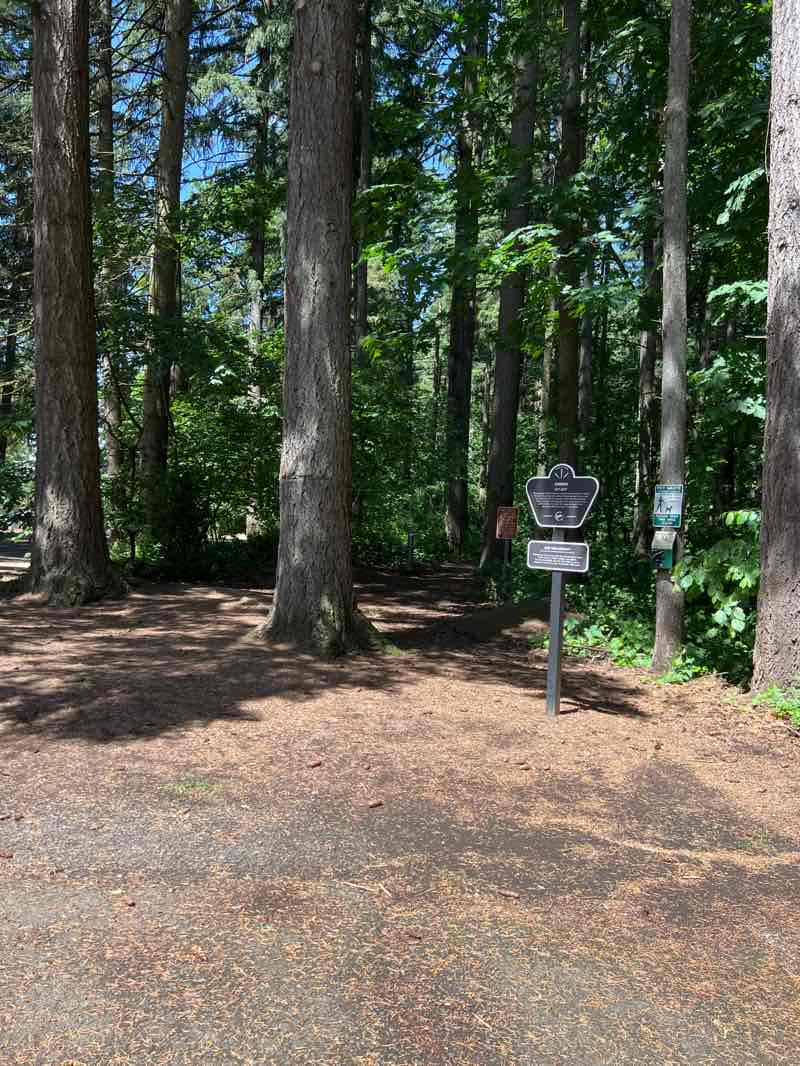 walking near me in Eco Park in spring