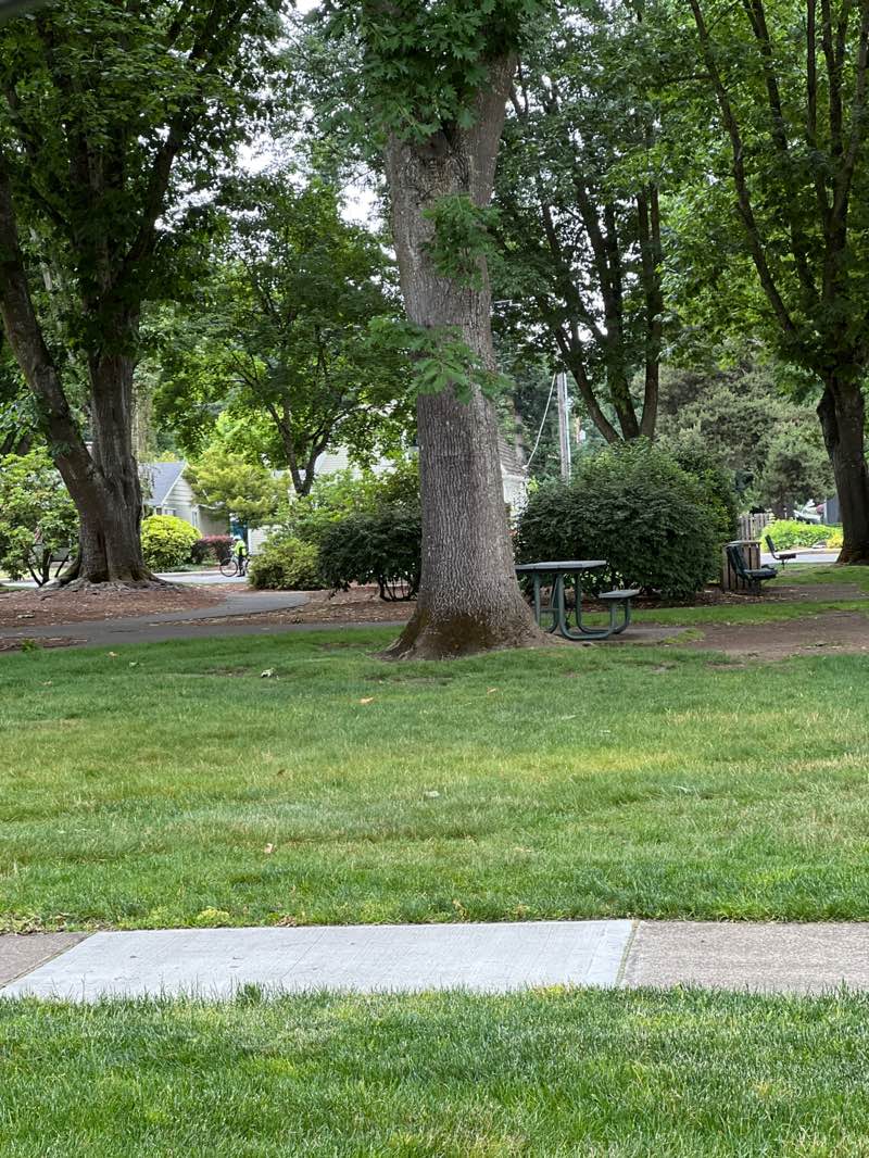 walking near me in Wait Park in summer