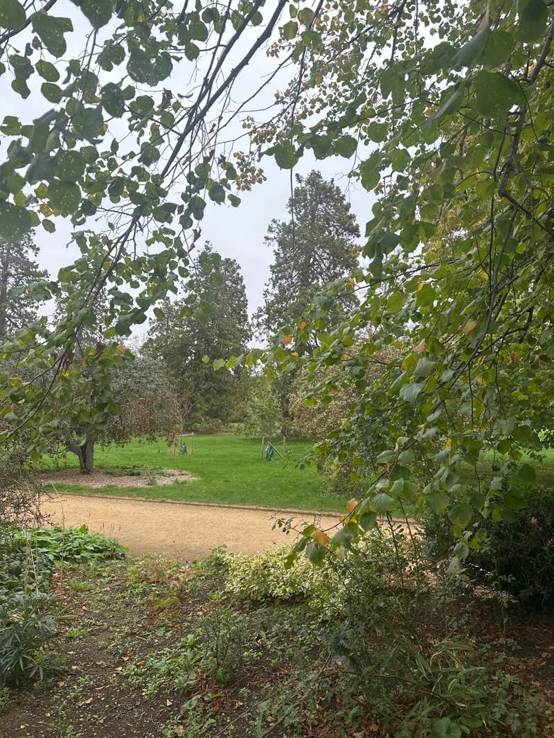 walking near me in University Parks in autumn