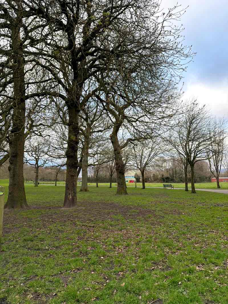 walking near me in Ormeau Park in spring