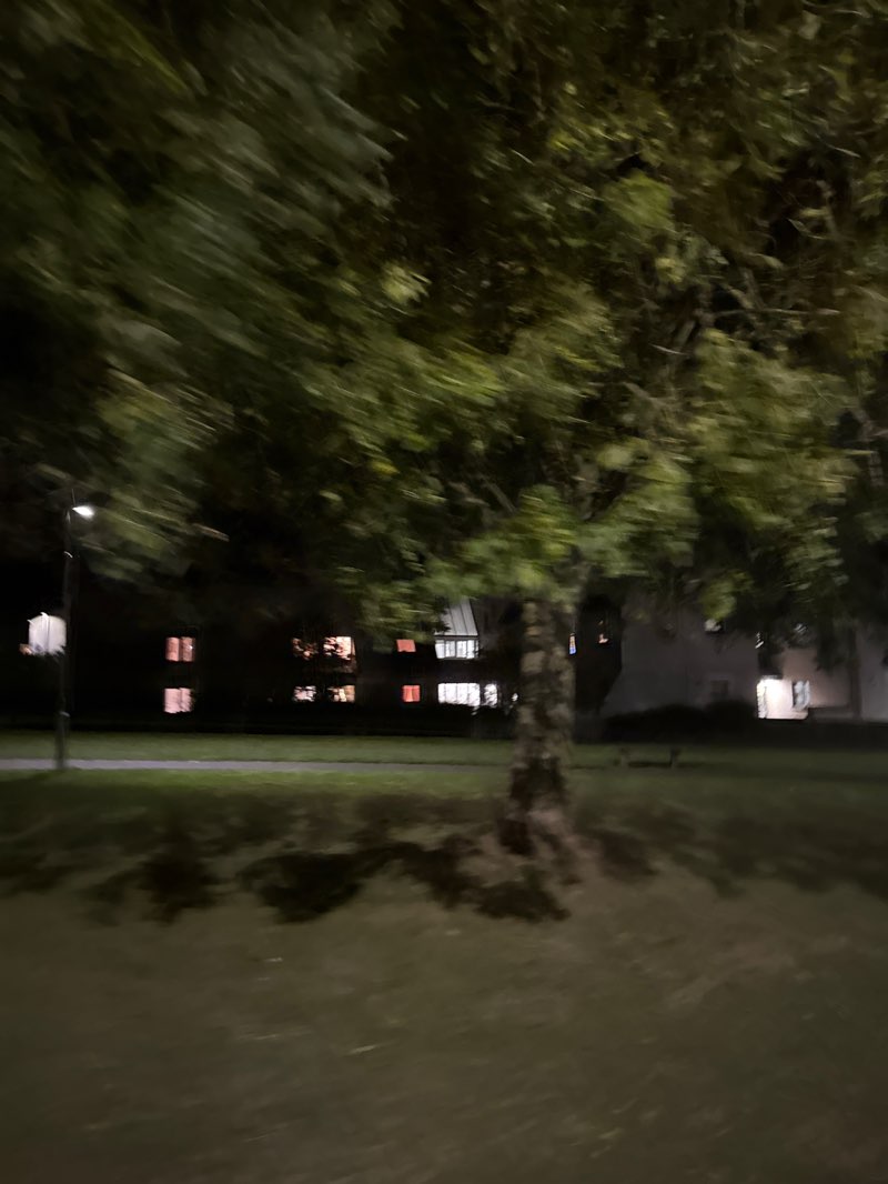 walking near me in Eyemouth Park in autumn