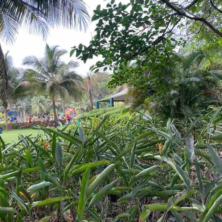 Milind post 1