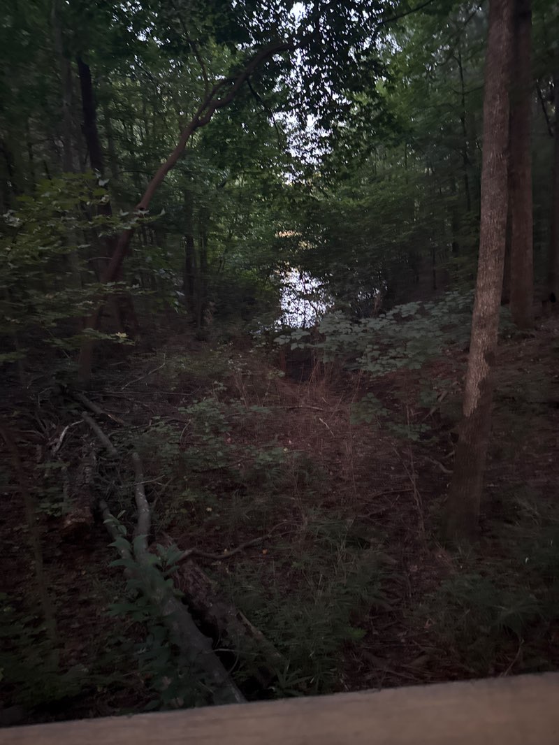 walking near me in Seagroves Farm Neighborhood Park / Town of Apex in autumn