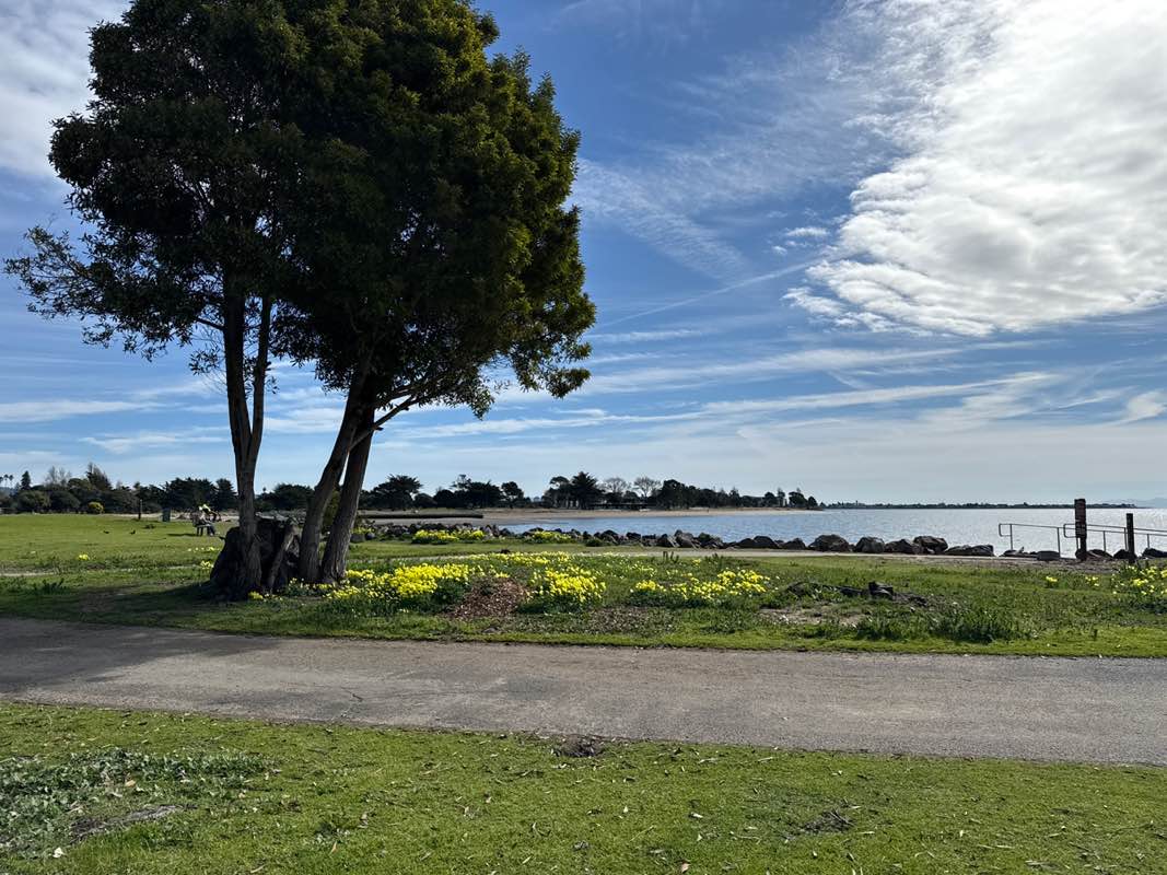 walking near me in Robert W. Crown Memorial State Beach in winter