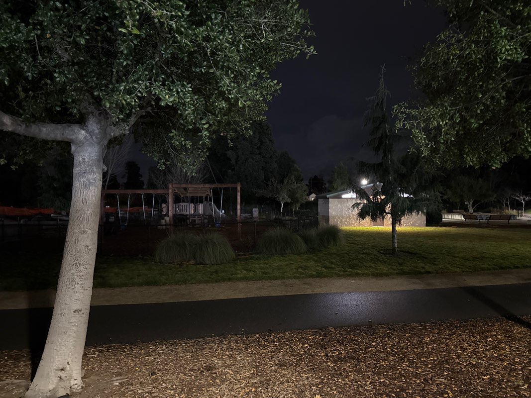walking near me in Jean Sweeney Open Space Park in winter