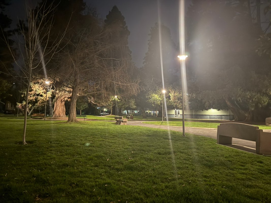 walking near me in Franklin Park in winter