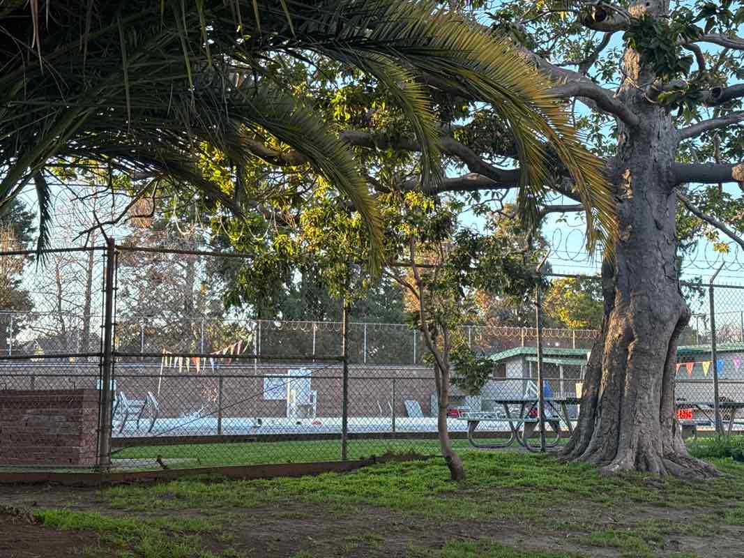 walking near me in Franklin Park in spring