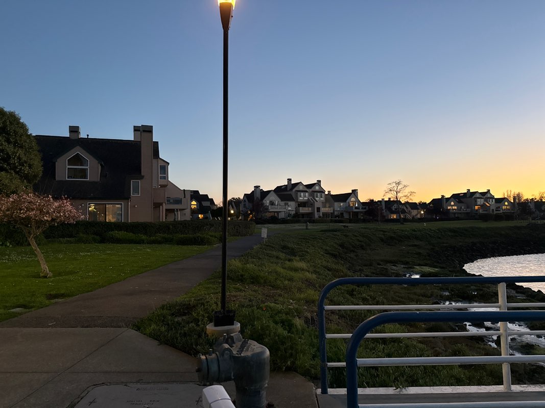 walking near me in Shoreline Park in spring