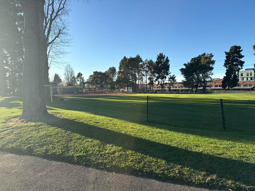 walking near me in Littlejohn Park in spring