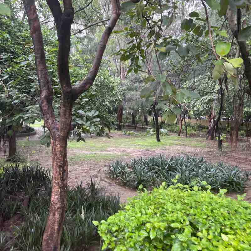 Jaideep Lakra post 1