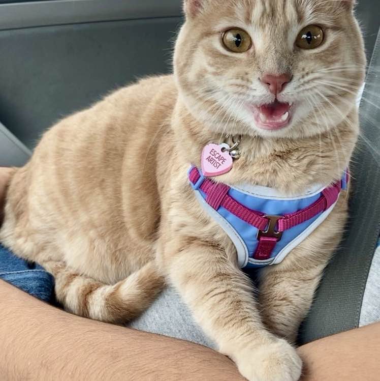 Seeing New Places Seeing New Places post image