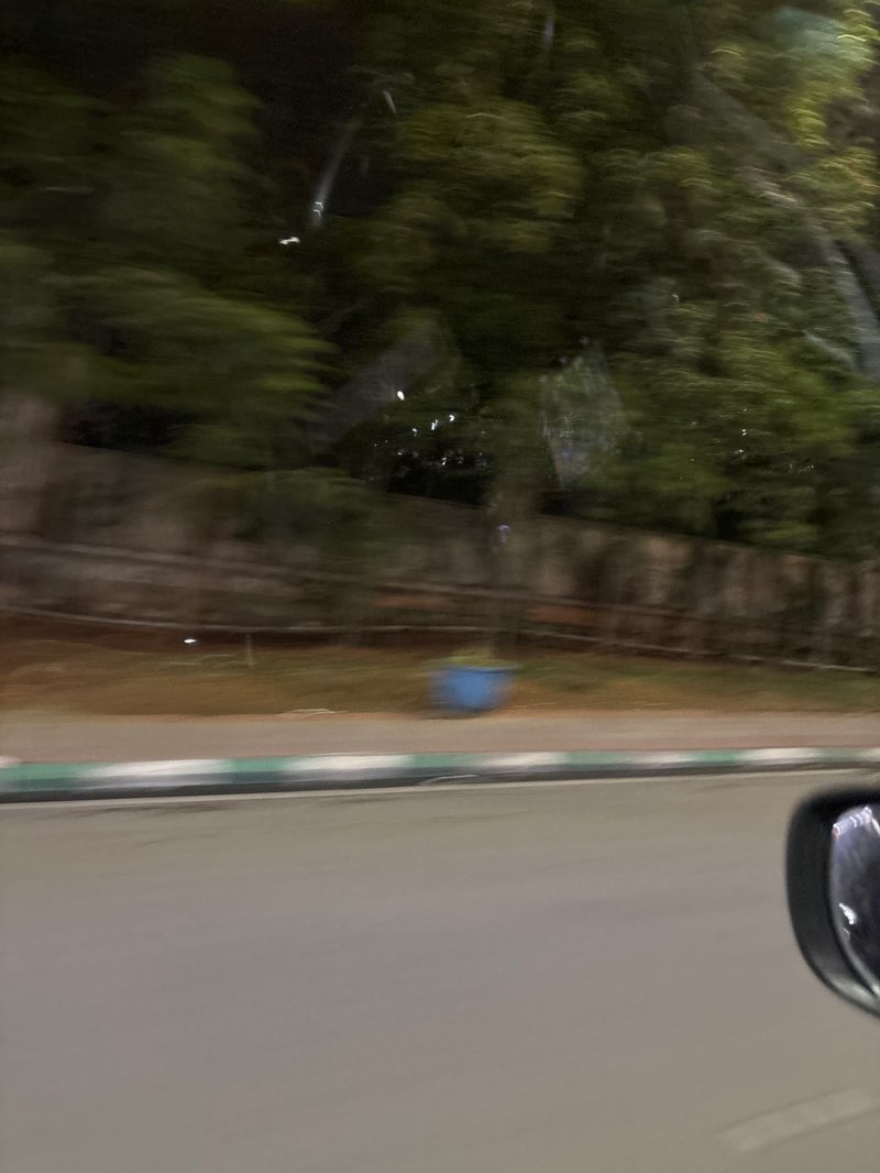 walking near me in Microsoft B3 Park in spring