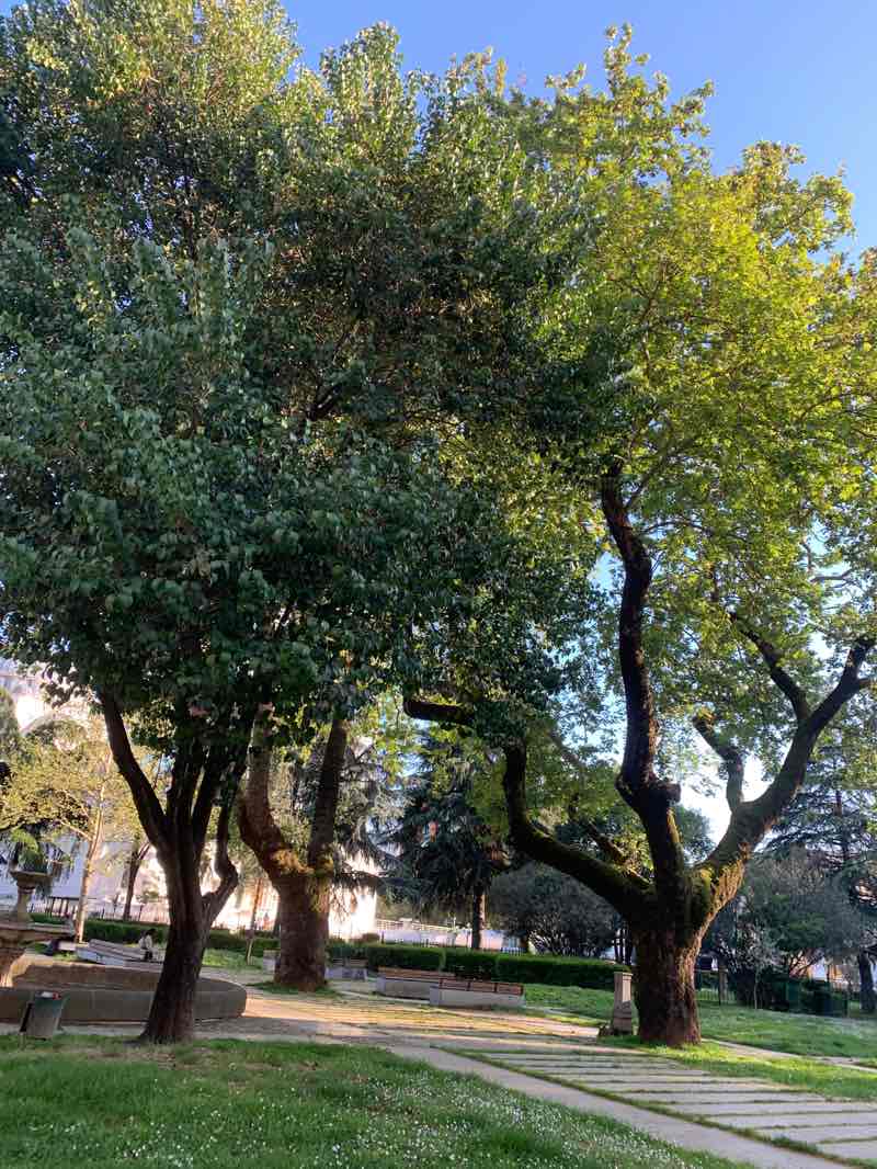 walking near me in Lulishtja Fan Stilian Noli in spring