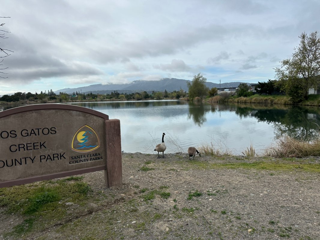 walking near me in Los Gatos Creek County Park in spring