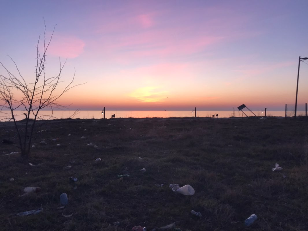 Halum__2015–7391 profile