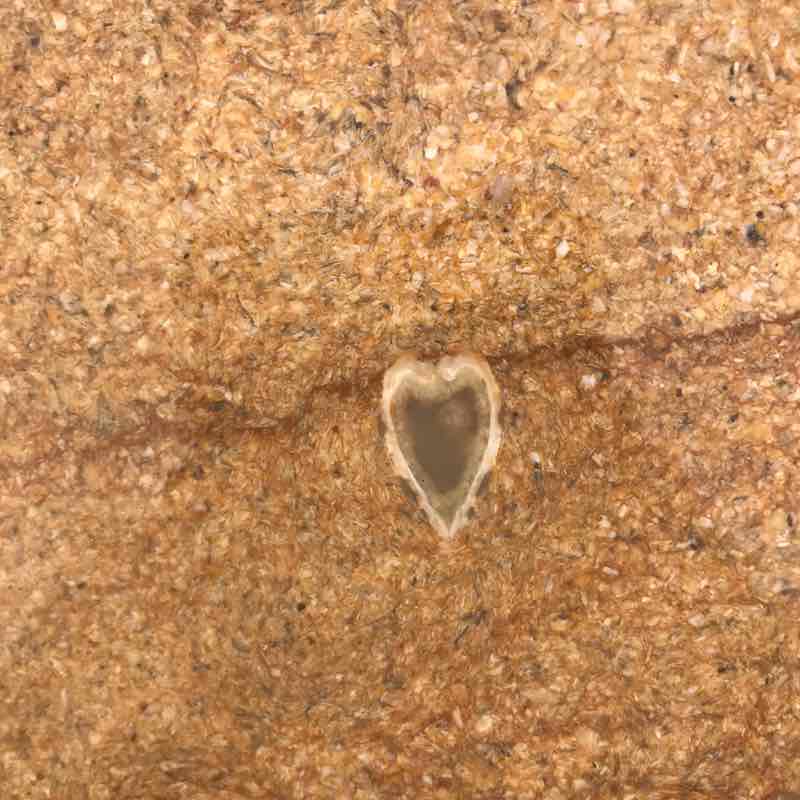 бег это сунна Halum__2015–7391 post image