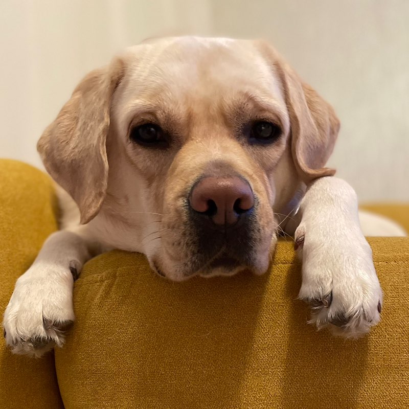 Ольга Костина icon