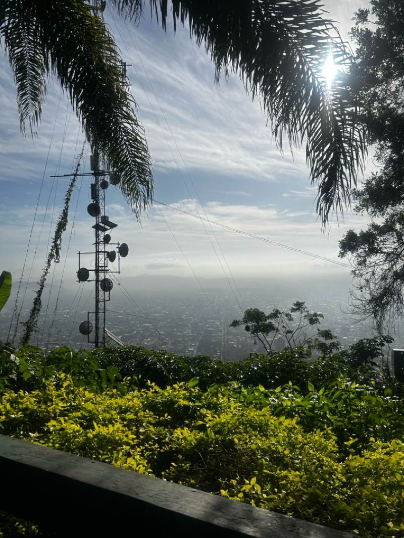 walking near me in The Coca Cola in winter